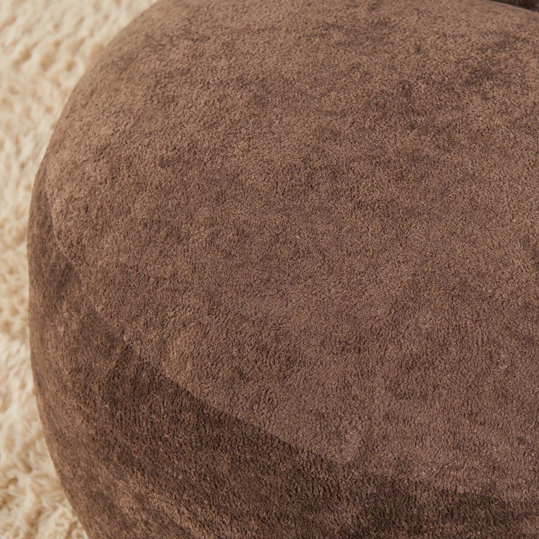 Close-up of a brown textured object on a beige background