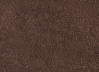 Brown Fleece